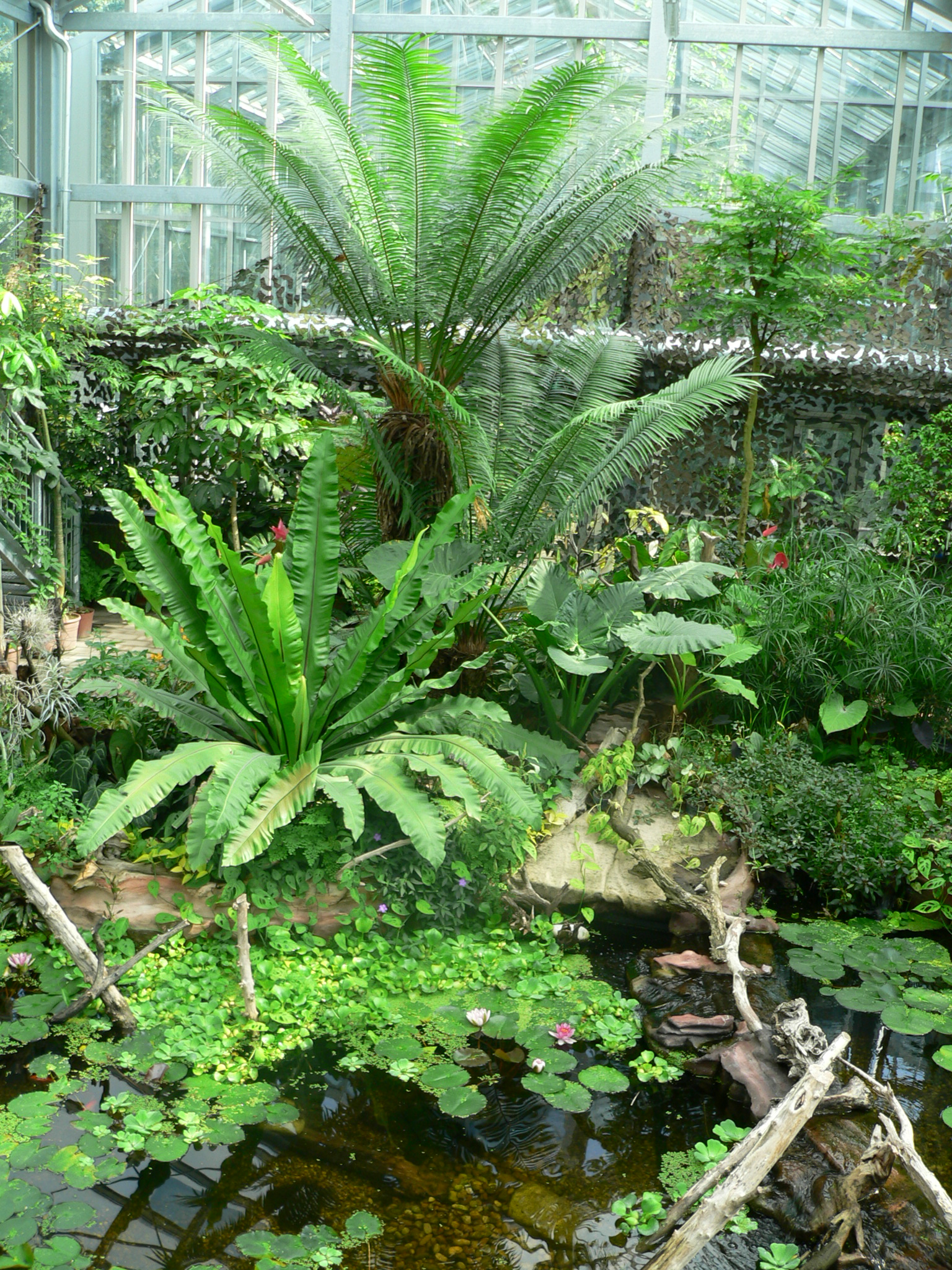 UNIVERSITY OF SZEGED BOTANIC