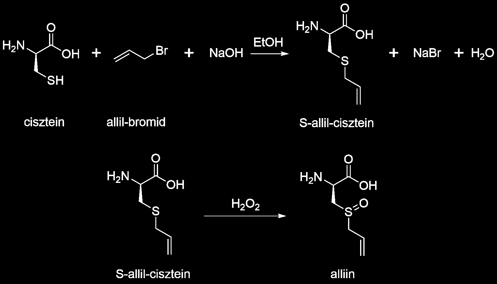 d) Mi lehet az ajoén két izomerének szerkezete, ha összegképletük C 9 H 14 OS 3, és IUPAC neveik E-, ill. Z-4,5,9-tritiadodeka-1,6,11-trién-9-oxid? e) Összesen valójában hány izomert takar az ajoén?