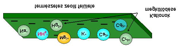 lyamat. Az, hogy a zeolit-baktérium kapcsolat mégis létrejön, a baktériumok által termelt, extracelluláris polimereknek (ECP) köszönhető [Quarmby. J., 1999].