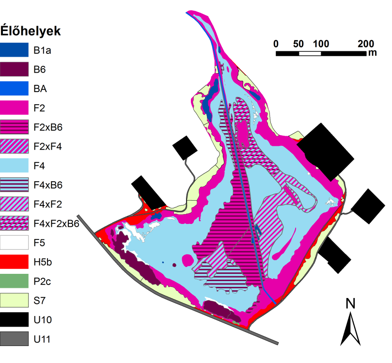 6. ábra: A Kancsal-tó medrének Á-NÉR élőhelytérképe 2011-ben A 2009-es évben azt tapasztaltuk, hogy az állományok ekkor voltak talán a legtípusosabbak.