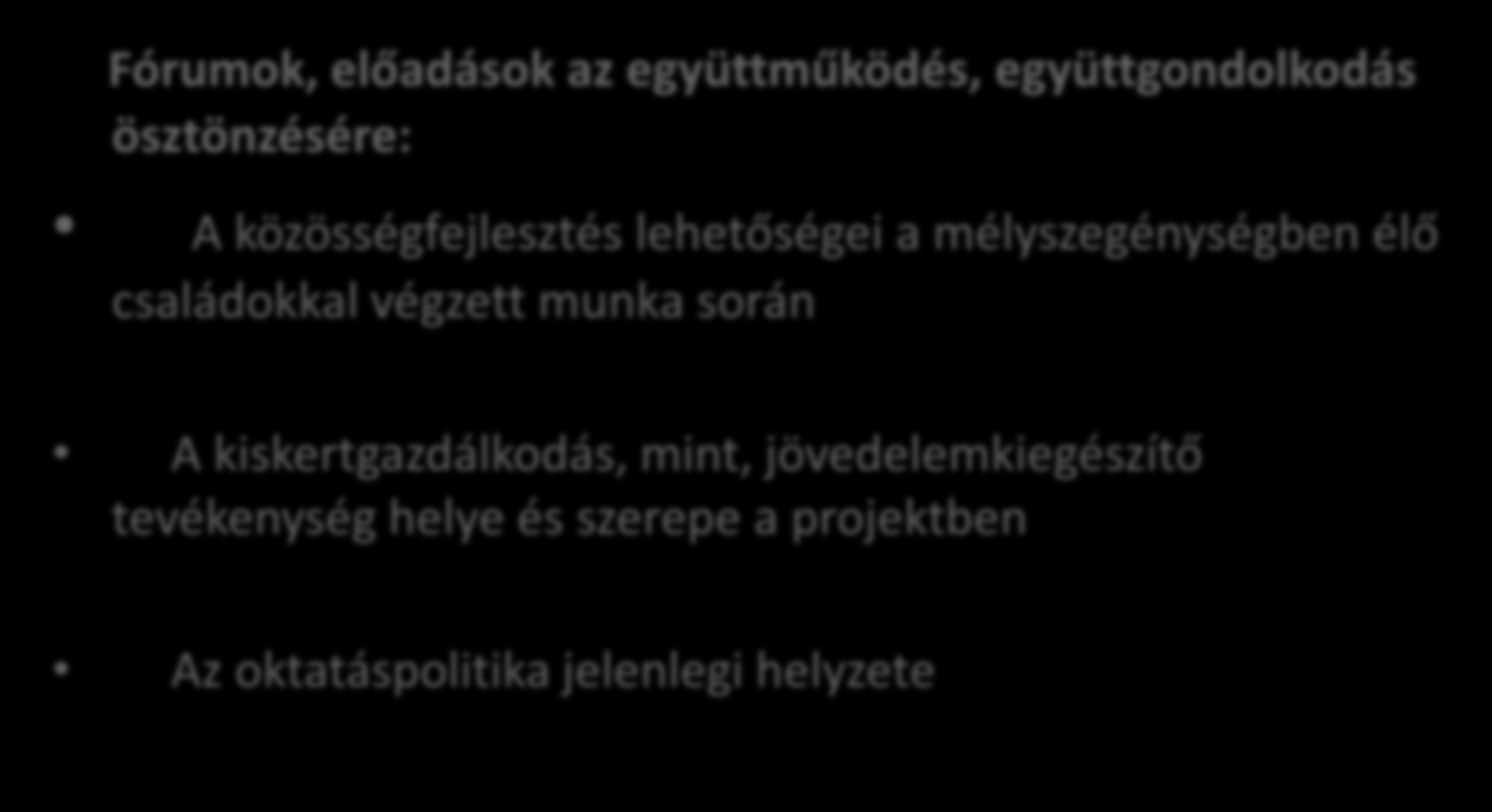 A projekt Fórumok, előadások az együttműködés, együttgondolkodás ösztönzésére: A közösségfejlesztés lehetőségei a mélyszegénységben élő családokkal