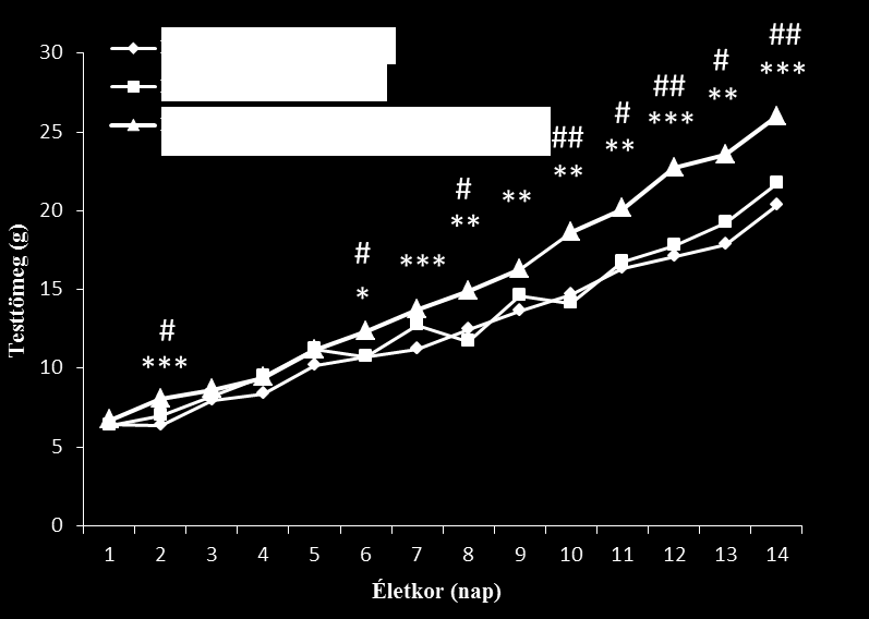 32. ábra: A testtömeg változása az első két héten. (*: p<0,05, **: p<0,01, ***: p<0,001 kontroll fiziológiás sóoldat kezelt vs.klasszikus MSG kezelt csoport; #: p < 0.05, ##: p < 0.