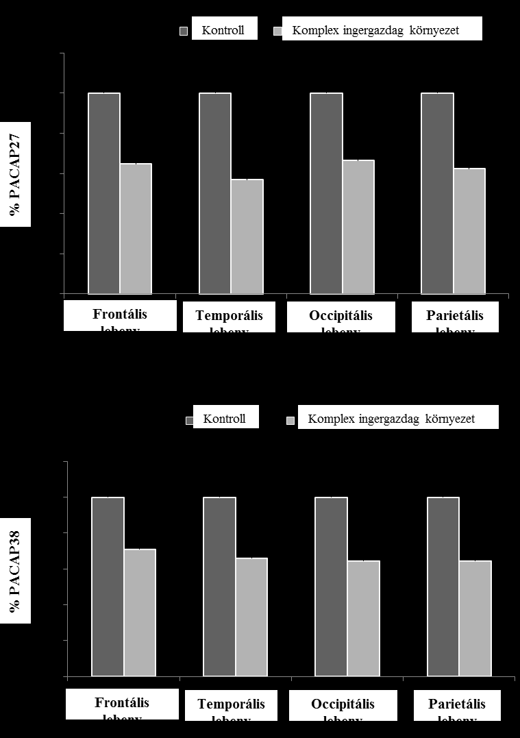 A telencephalon lebenyeit külön-külön is megvizsgálva látható volt, hogy ez a szignifikáns különbség minden lebeny esetén (frontális, temporális, occipitális és parietális lebeny) külön-külön is