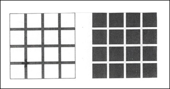 ajánlott korosztály: 11. osztály, tehetséggondozó szakkör/ fakultáció biológia-11-08 2/6 Érzéki csalódások 2.