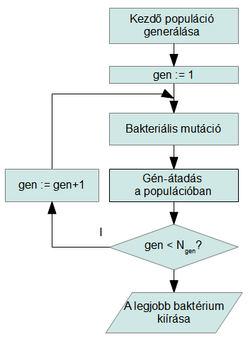 Ismételjük meg a fenti eljárást a bakteriális mutációtól kezdődően, míg bizonyos kilépési feltétel nem teljesül (pl.