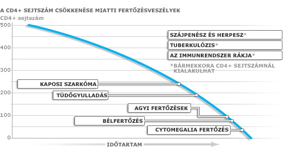 A HIV fertőzés