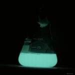 EREDMÉNYEK ÖKOTOXIKOLÓGIAI MÓDSZEREK Vibrio fischeri biolumineszcencia-gátlási teszt eredményei Rézegyenértékek Cu50 [ppm] Kiindulás 2. 5.