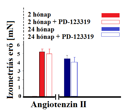 7.5 Az Ang II-indukálta artériás kontrakció erejének változása AT 2 R blokkoló jelenlétében és hiányában A 11.