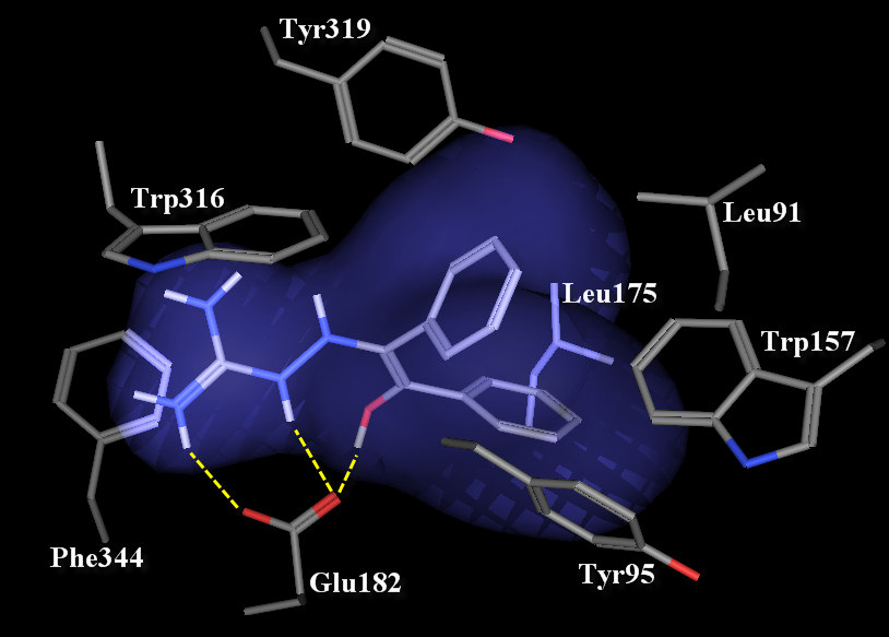 4.2.6.2. táblázat. Az in vitro találatok 2. csoportja. Ezek a vegyületek egy protonált guanidin csoportot és egy lipofil aromás rendszert tartalmaznak.