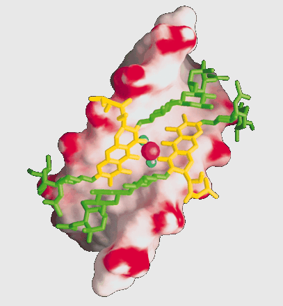 CHROMOMICINEK MITRAMICIN Str. argillaceus, Str. tanashiensis, 1962 OLIVOMICIN Str.
