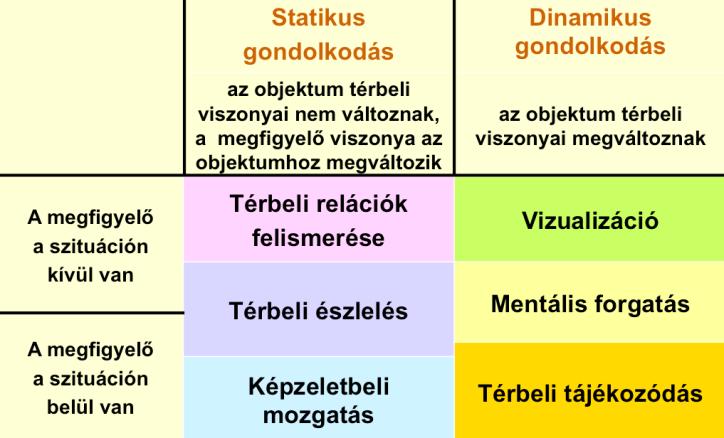 információk felidézését, összehasonlítását és átalakítását (Haanstra, 1994): térbeli relációk létesítése és érzékelése különböző szögekből látott tárgyak azonosítása, felismerése elmozdításuk után;