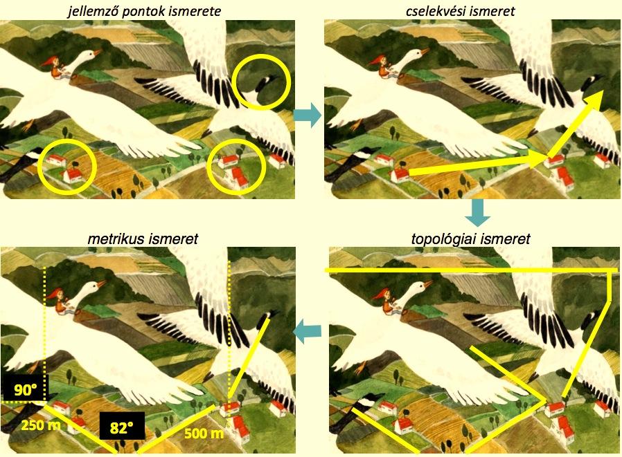 2. cselekvési ismeret: ismer bizonyos útvonalakat és azokat a módozatokat, amelyek szükségesek az egyik végponttól a másikig történő eljutáshoz (navigálás); 3.