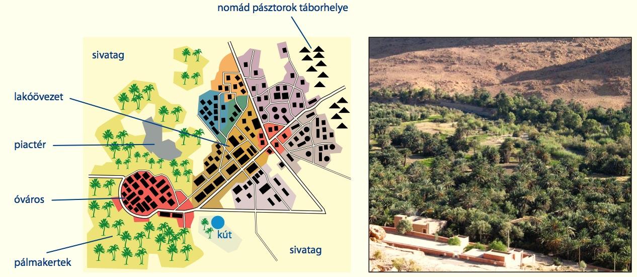 30. ábra. Az oázis általánosított térképvázlata (forrás: Földrajz, Afrika. Tipikus tájak digitális tananyag, Balázs-Diák Kft.