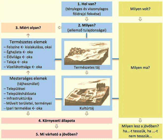 43. ábra. A tájelemzés általános szempontjai (Makádi M.