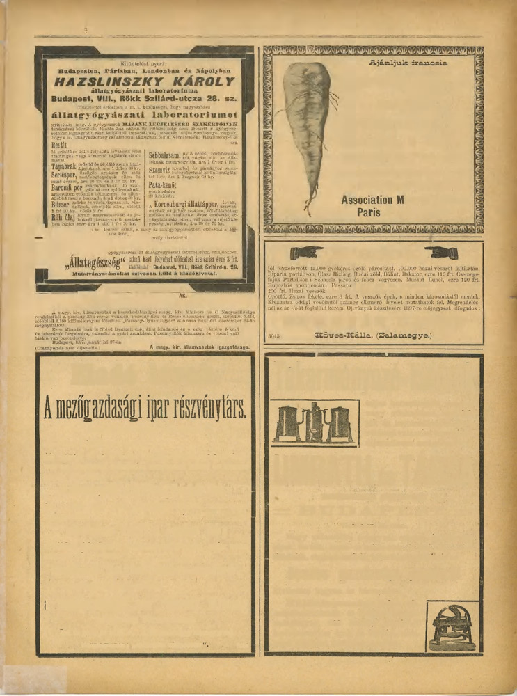 11. SZÁM. 7-IK ÉVFOLYAM. KÖZTELEK,!897.FEBRUÁR HÓ 6. 189 á l ' h útion] fluid 1 SftóME Keh por?0 fsf^' totkta LIESIIS I Hnzslinszky Károly M594/96. A. IV., MAGYAR KIRÁLYI ÁLLAMVASU1 HIRDETMÉNY.