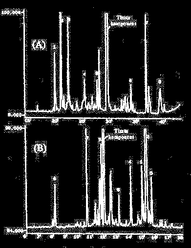 Szelektivitás Az adott módszer képes-e az összes lehetséges meghatározandó komponens meghatározására (elválasztására) zavaró alkotók jelenlétében.