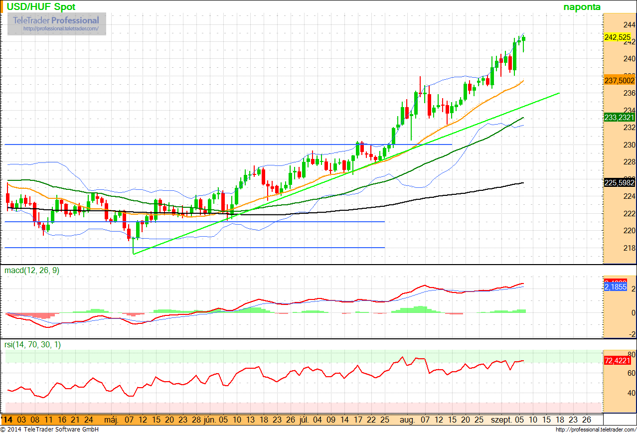 U SDHUF A 240-es szint fölé lépett a dollár-forint árfolyama, a következő meghatározó ellenállás 245-nél húzódik.