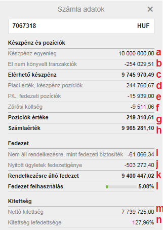 Számla adatok II. Fedezet i) A részvények és ETF-ek aktuális piaci értékének a Kereskedési feltételekben meghatározott százalékát felhasználhatja további tőkeáttételes pozíciók nyitására.