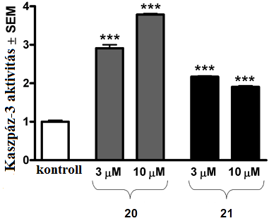 Kaszpáz-3 aktivitás meghatározása A sejtciklus eredményei alapján a 3a, 3e, 20 és 21 vegyületeket választottunk ki további kísérletekre, annak érdekében, hogy megállapítsuk a hatásukat a kaszpáz-3