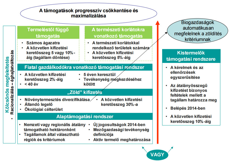 Közvetlen kifizetések