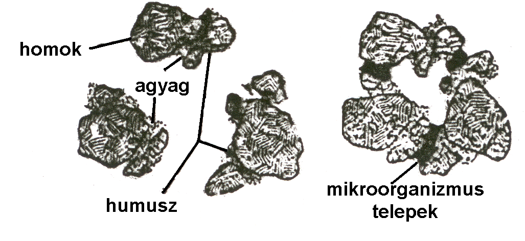 Az elsőrendű és a másodrendű mikroaggregátumok