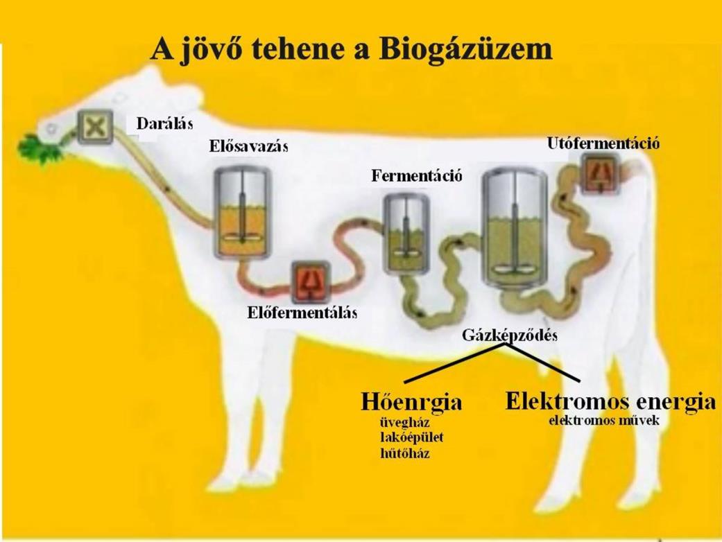 Általános jellemzők Cél Környezetvédelem? Energia-termelés?