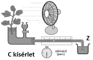 48. Melyik igaz a kísérletre az alábbiak közül? A. az A adatsor a fényben tartott növény esetében volt mérhető B. az A adatsor a sötétben tartott növény esetében volt mérhető C.