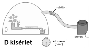 Mire következtethetünk a kísérletekben kapott adatok vizsgálatából? A. az eltelt idő és a bekövetkező változás között egyenes arányosság van B.