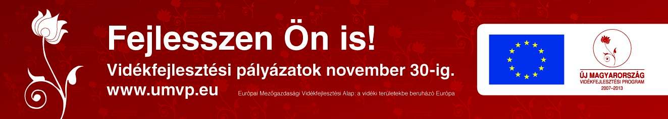 Sajtóhirdetés A hirdetési mintákon az ÚMVP logószabályozása és a kötelező elemek (EU zászló, ÚMVP logó, EMVA mondat) használata betartandó. A betűtípus Helvetica Regular és Helvetica Condensed.