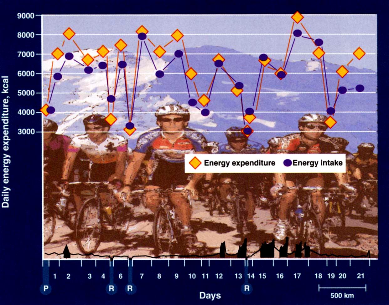 Tour de France egyedi eset a hosszantartó állóképességi teljesítmény és az extrém energia leadás/felvétel kapcsolatához Extrém energia leadás Napi átlagos kalória leadás: 6500kcal Hegyi szakaszon