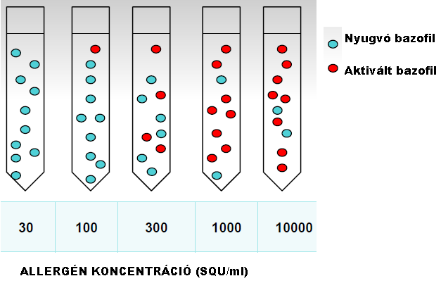 Eredmények interpretálása Szenzitivitás jellemzése (sens) Bőr teszt (Skin Prick Test, SPT) SPTsens - Allergén titrálás végpontja CD63 mérés CDmax - egy adott