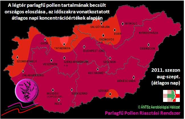 EREDMÉNYEK A 20-ES PARLAGFŰ-SZEZON JELLEMZÉSE A PPRR RENDSZER HASZNÁLATÁVAL Parlagfű esetében a fentebb kimutatott éves összpollenszám- és maximum értékeket, illetve a szezonlefutást érdemes