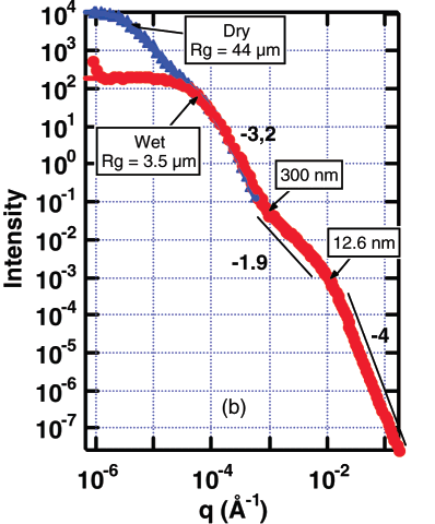 Egy tipikus kisszögű szórási spektrum (a neutronokon kívül ide sorolható a kisszögű röntgen- illetve a fényszórás is) a 22. ábrának megfelelően néz ki.