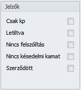 Értelmezése megegyezik a fizetéssel kapcsolatos adatmezőknél leírtakkal.