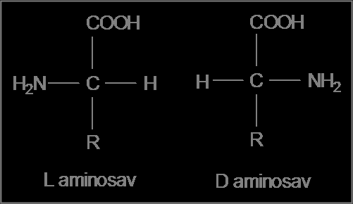 7. NITROGÉN TARTALMÚ VEGYÜLETEK 7.1 AMINOSAVAK Az aminosavak különböző karbonsavak aminoszármazékai, melyek közös szerkezeti eleme a CH-csoporton keresztül kapcsolódó karboxil- és aminocsoport.