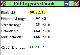 Információs képernyők: Pillanatnyi fogyasztás értékek. 4. ábra A pillanatnyi fogyasztások Megjelenik: Eltelt idő: Az előző vezérlő impulzus beérkezése óta eltelt idő Perc : másodperc.