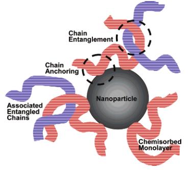 15.ábra Határfázis a mátrix és a nanorészecske között (CIPRARI et al. 2006) 16.