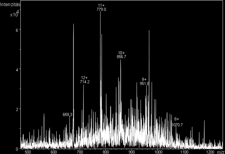 A tisztított termék MS spektruma: 15.