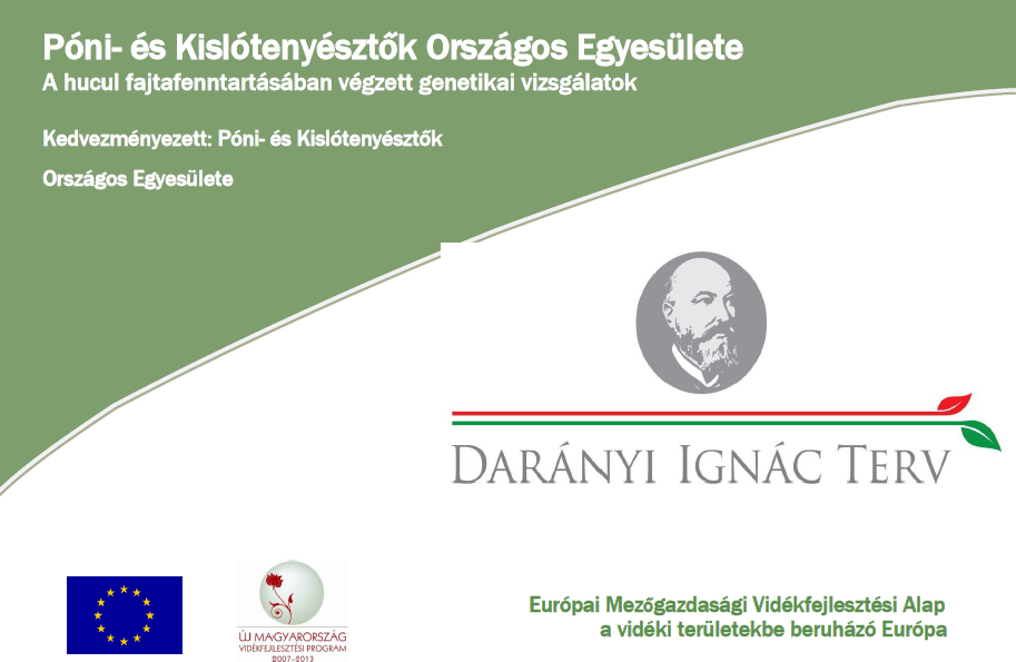 A rendelkezésünkre álló 241 minta elemzése a mitokondriális DNS egyes szakaszai alapján történt. A vizsgálati eredmények több esetben nem egyértelműek.