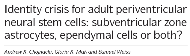 Ependima - Ependyma: Őssejt???... (SVZ oly közel...) Végdifferenciáltak vagy képesek de-differenciálódni? Jonas Frisen 1992, Reynolds, Weiss Richards, L.