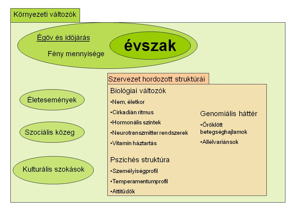 2.3 A betegség heterogén elméleti háttere Visszaidézve a szezonális affektív zavar definícióját, az elsődleges fontosságú tényező az évszakok váltakozása okozta összetett hangulati és