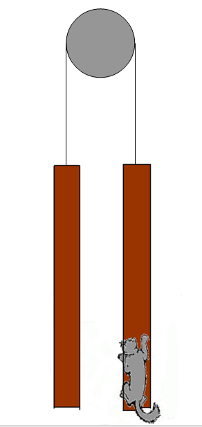 5. Egy állócsigán átvetett kötél két oldalán gerendák lógnak. Mindkét gerenda tömege M=50 kg.