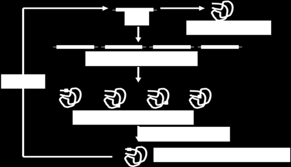 11. Protein engineering A plazmid DNS-t PCR reakcióval szaporítják fel. A primerek alkalmas megtervezésével deléciót, inzerciót és pont mutációt is létre tudnak hozni.