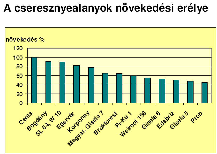 Igen erıs Középerıs Féltörpe Törpe C 500 ( Cema sajmeggy) C 2753 ( Cemany sajmeggy) F 12/1 (Vadcseresznye) Dunabogdány (sajmeggy) Magyar (sajmeggy) Colt (Vadcseresznye) Damil Weiroot 10, 13 (meggy)