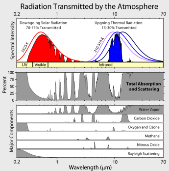 A legfontosabb üvegházhatású gázok Vízgőz 36-70% CO 2 9-26% CH 4 4-9% O 3 3-7% A szén-dioxid koncentrációja az atmoszférában 390 370 350 CO2 (ppm) 330 310 290 270 250 1700 1750 1800 1850 1900 1950