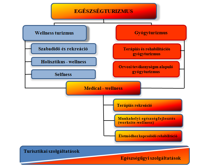 2.4. Az egészségturizmus területei Az egészségturizmus (1.