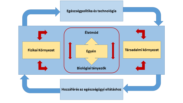 stratégiájának modellje, amely szintén a felsorolt négy tényezőt veszi alapul (7. ábra). 7.