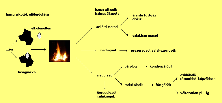 8.3. ábra A hamualkotók elıfordulása és átalakulásai az égés folyamán a tőztérben A tüzelıanyagba beágyazódott szemcsék a tüzelıanyag fogyásával koncentrálódnak majd megolvadnak.