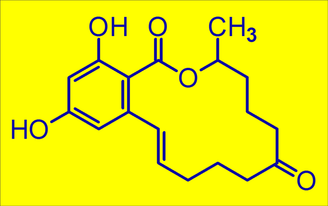 A zearalenon (F-2 toxin) szerkezeti képlete Kémiailag, a rezorcilsav-laktonok (RAL) közé tartozik Ösztrogén-mimetikus hatása van A zearalenon optimális