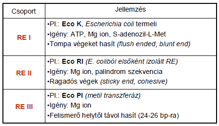 Nukleinsav manipulációs enzimek Restrikiós enzimek (RE): Önvédelmi funkciójuk van, meg tudják különböztetni a saját DNSt az idegentől, a metilezettség alapján.